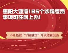 惠陽大亞灣185個涉稅繳費事項可在網上辦!你知道