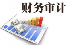 惠陽大亞灣的企業要做稅審報告嗎？做稅審報告
